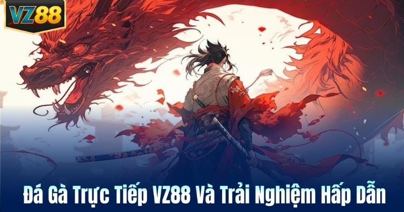 Đá Gà Trực Tiếp VZ88 Và Trải Nghiệm Hấp Dẫn