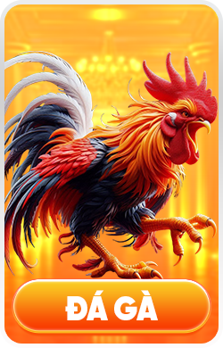 đá gà vz88 png