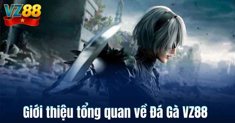 Giới thiệu tổng quan về Đá Gà VZ88