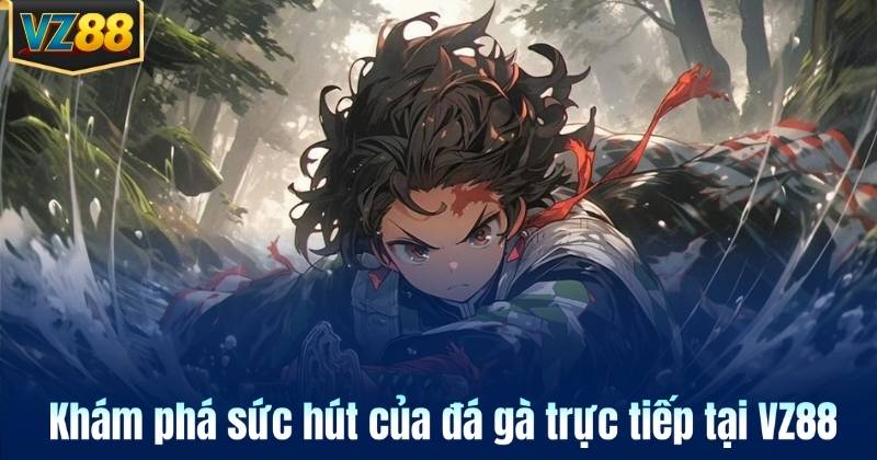 Khám phá sức hút của đá gà trực tiếp tại VZ88