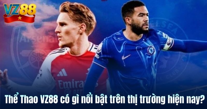 Thể Thao VZ88 có gì nổi bật trên thị trường hiện nay?