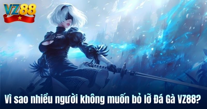 Vì sao nhiều người không muốn bỏ lỡ Đá Gà VZ88?