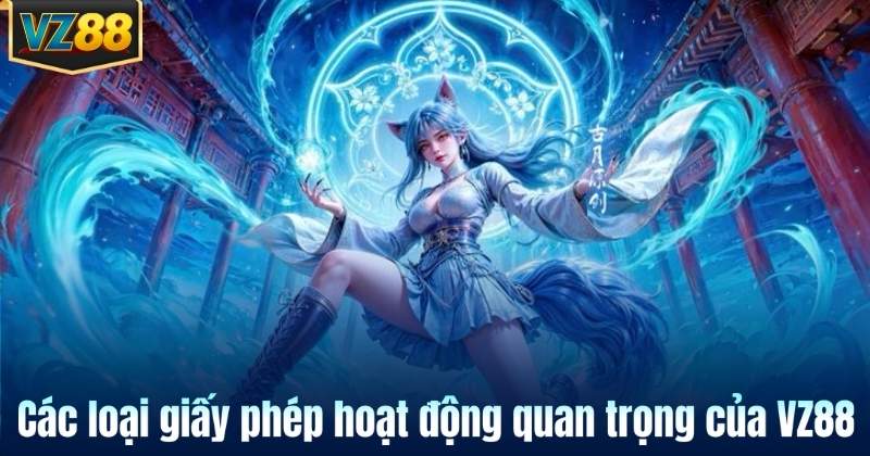 Các loại giấy phép hoạt động quan trọng của VZ88