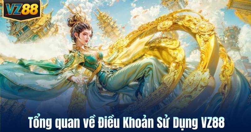 Tổng quan về Điều Khoản Sử Dụng VZ88